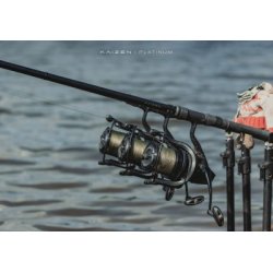 Kaizen Platinum 13ft 3.5lb