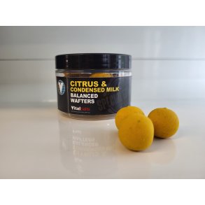 Citrus & Cond. Milk Wafters 18mm YELLOW