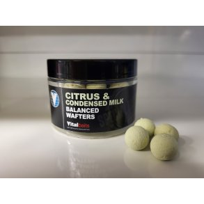 Citrus & Cond. Milk Wafters 14mm GREEN