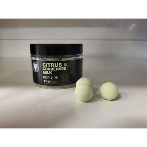 Pop-ups Citrus & Cond. Milk 18mm, GREEN