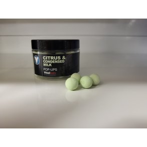 Pop-ups Citrus & Cond. Milk 14mm, GREEN
