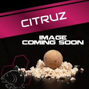 Citruz Signal Coated Hookbaits 20mm