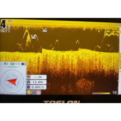 CARP ROYAL TOSLON CR-X