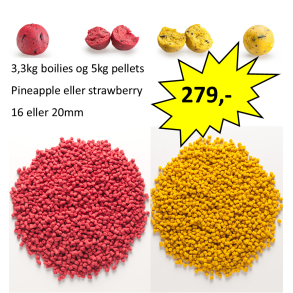 3,3kg boilies og 5kg 4mm pellets